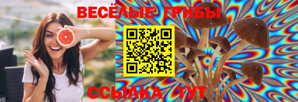 Галлюциногенные грибы MAGIC MUSHROOMS  Вход с VPN  Новокубанск  Псилоцибиновые грибы мицелий 