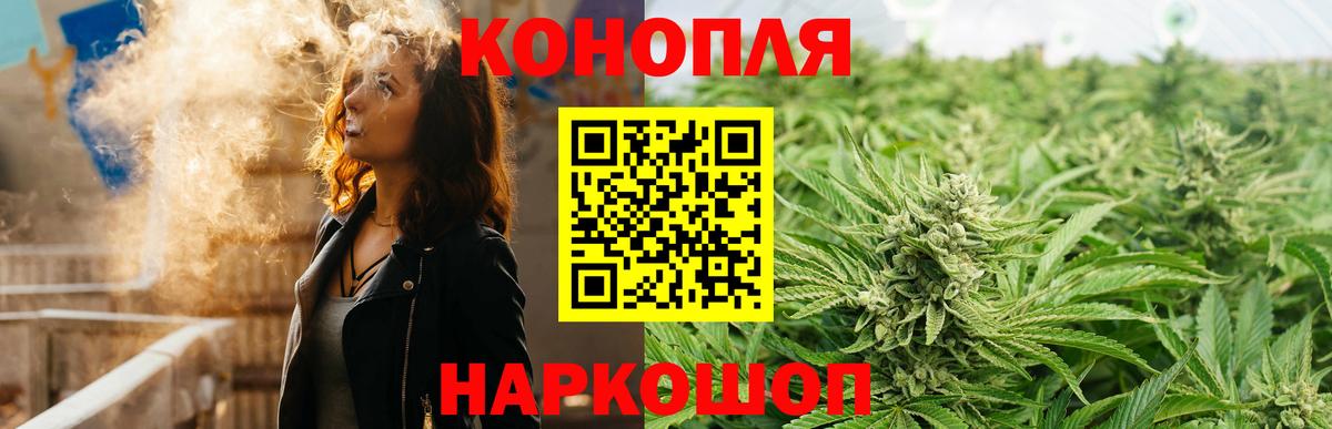 Канабис семена  Конопля Bruce Banner  Каннабис MAZAR  Вход с VPN  Новокубанск 